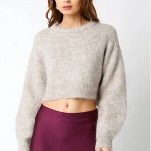 Olivaceous Cropped Crew Neck Sweater in Small